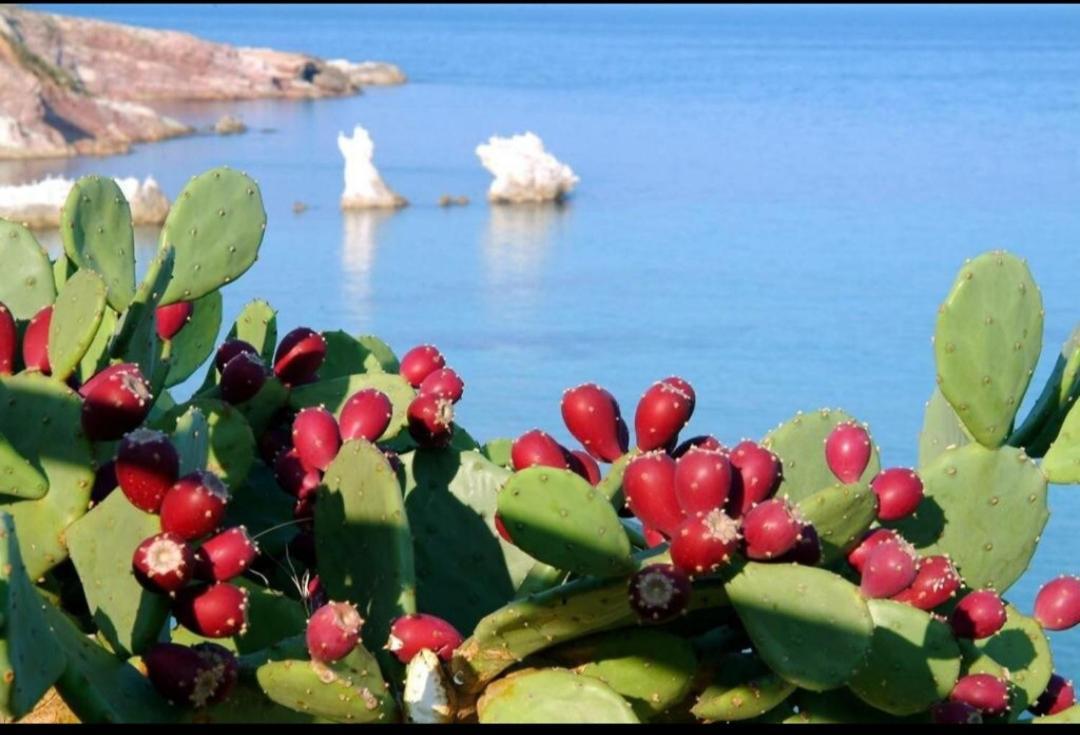 Perla Del Sud